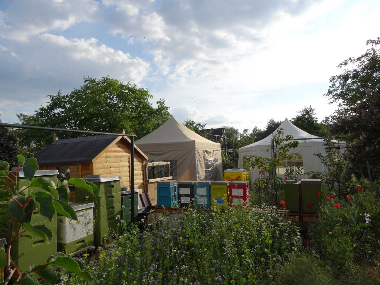 004 Bienenbeuten und Zelte im Garten